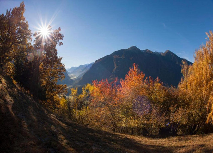 View from property 5, Premium Apartment With Garden, Reutte
