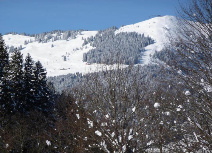 View from property 3, Studio in Saalbach Near Ski Slopes, Zell am See
