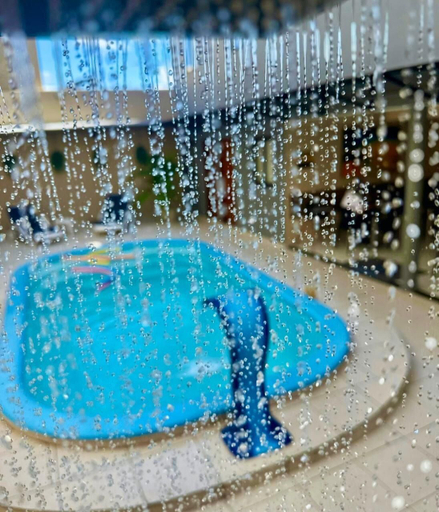 Sport & Beauty 5, Hotel Pousada Alagoana, Maceió (capital)