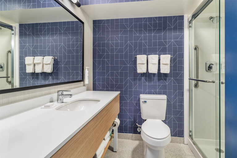 Bathroom 4, Spark by Hilton Knoxville North I-75, Knox