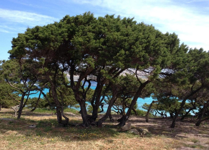 View from property 5, Stintino Villa Near Pelosa Beach, Sassari