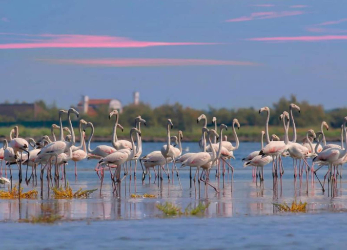 View from property 5, Retreat by the Adriatic Sea, Rovigo