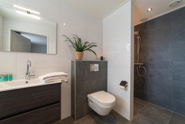 Bathroom 3, Villa in Colijnsplaat by the Sea & Sauna, Noord-Beveland