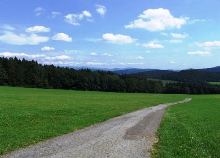 View from property 2, Ferienwohnung im Bayerischen Wald mit Terrasse, Regen