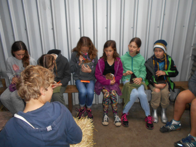 Others 4, Kerriley Park FarmStay, Busselton