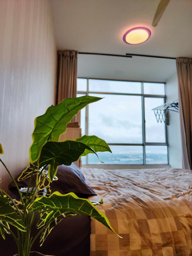 Others 5, Castle House | Johor Bahru | UTM, Johor Bahru