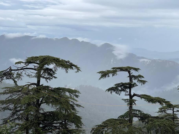 Others 5, KUSUM VILLA, Shimla