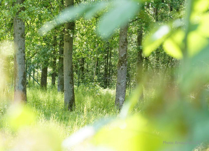 View from property 2, Farmhouse in Somme-leuze With Private Sauna, Namur