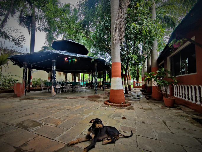Others 3, The Cozy One, Chhatarpur