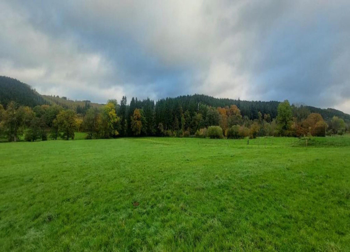 View from property 2, Haven With Private Garden, Luxembourg