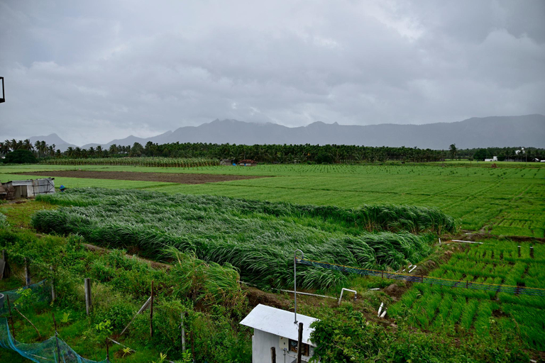 Others 4, Lakshmi illam RM1, Coimbatore