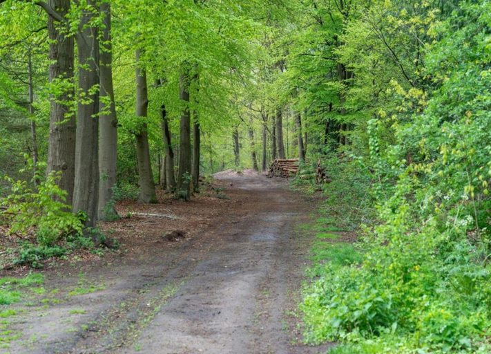 View from property 5, Scenic Stay Near Town & Lake, Barneveld
