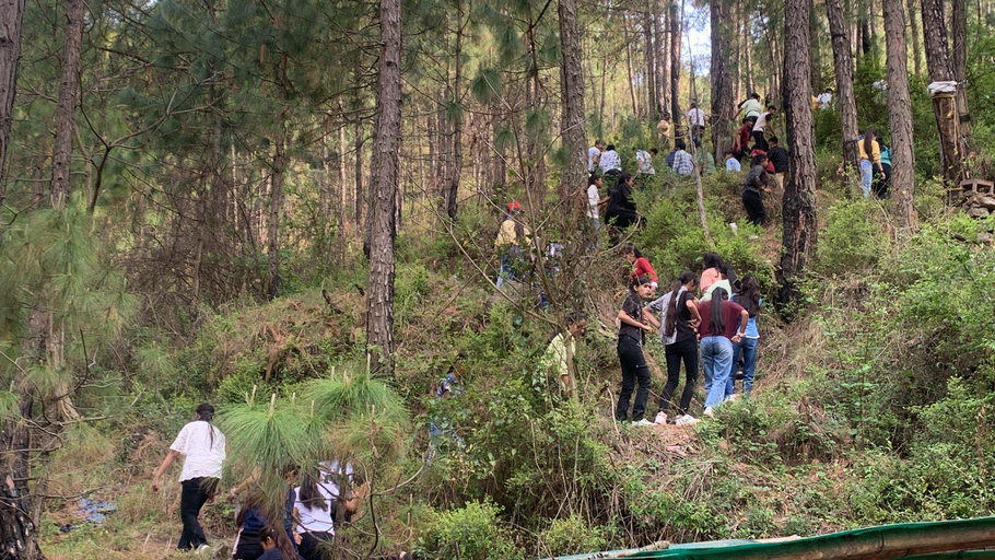 Others 5, Pine Trails Jungle Camp, Solan