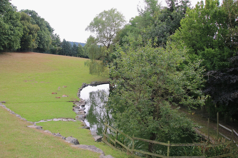 View from property 4, Great Holiday Home in Bastogne With Sauna, Luxembourg