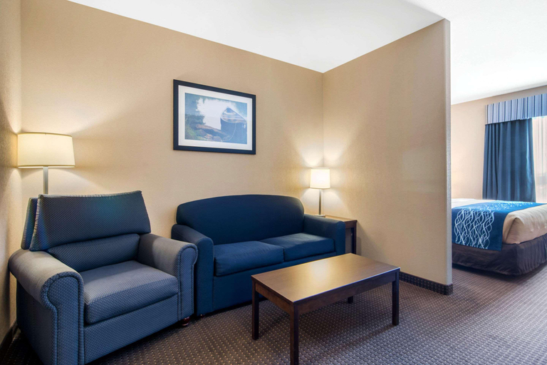 Public Area 5, Comfort Inn & Suites, Division No. 6