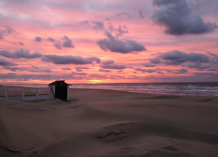 View from property 3, Villa in Koksijde Near Zeedijk, West-Vlaanderen