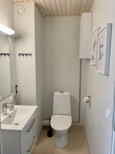 Bathroom 2, Kotimaailma KotikolmioSeponkatu, Päijänne Tavastia
