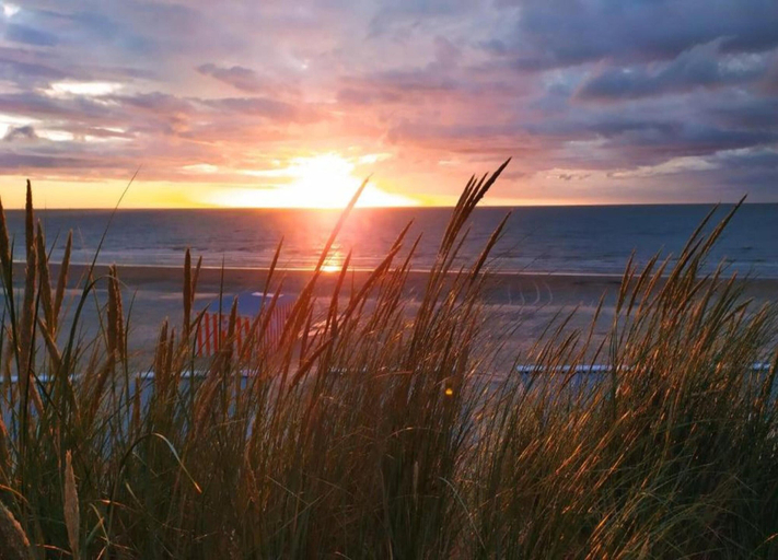 View from property 2, Sunny Stay for Four in Koksijde, West-Vlaanderen