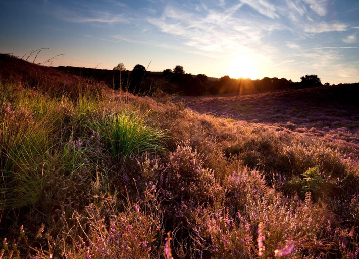 View from property 5, Holiday Home in Veluwe With Sauna, Barneveld