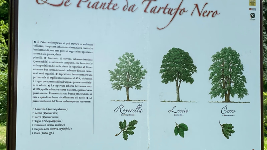 Others 5, Appartamento Roero Cottage 3, Cuneo