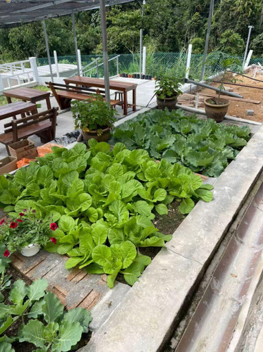 5, Manson Goat Cottage (A) - Nature escape hideaway, Cameron Highlands