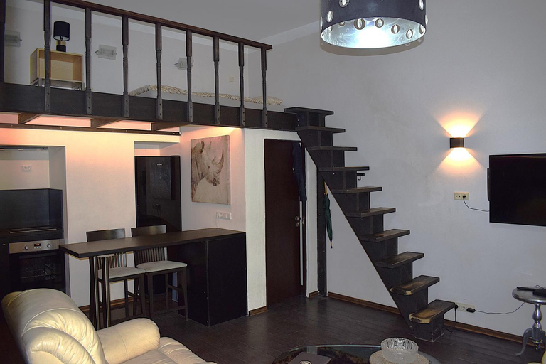 Others 4, BOSTONA Flat, Vilniaus