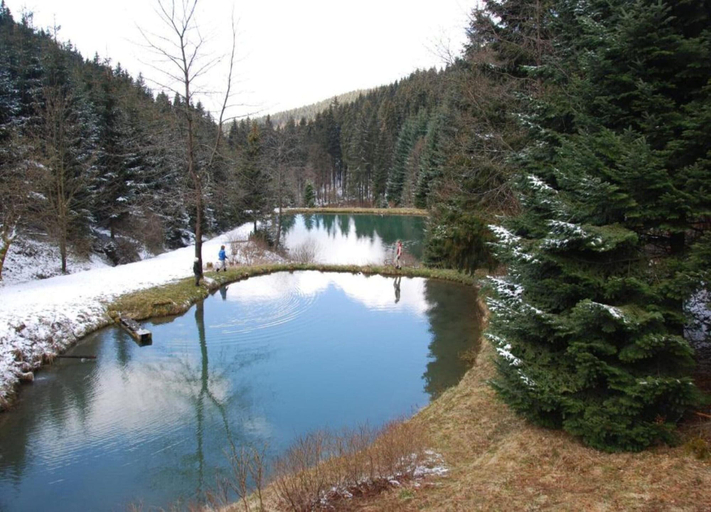 View from property 2, Ruckzugsort am Teich in Winterberg, Hochsauerlandkreis