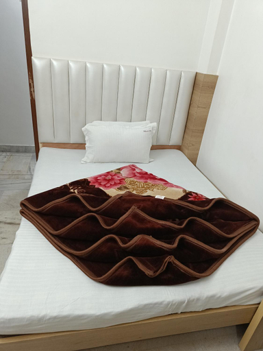 Others 5, Hotel Leo, Delhi