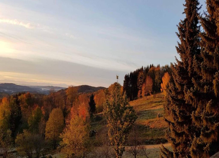 View from property 2, Gemutliche Ferienwohnung mit Garten in Zenting, Freyung-Grafenau