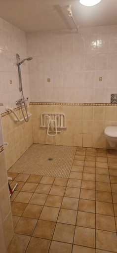 Bathroom, Hotel du Cerf, Cher