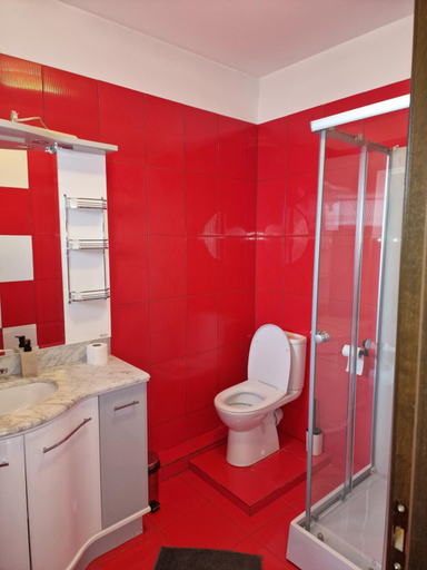 Bathroom 2, Casa Tudor, Selimbar