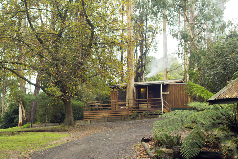 Exterior & Views 2, Tarra Valley Retreat, Wellington - Alberton