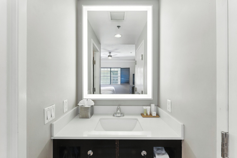 Bathroom 4, Radisson Resort at the Port, Brevard
