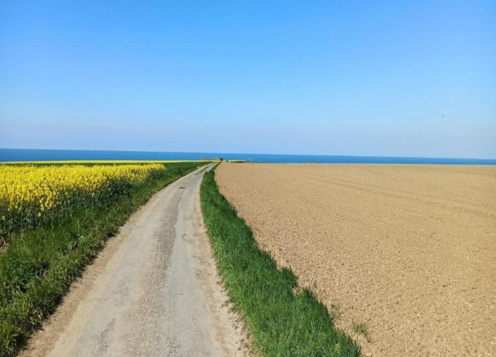 View from property 3, Normandy Garden Escape, Calvados