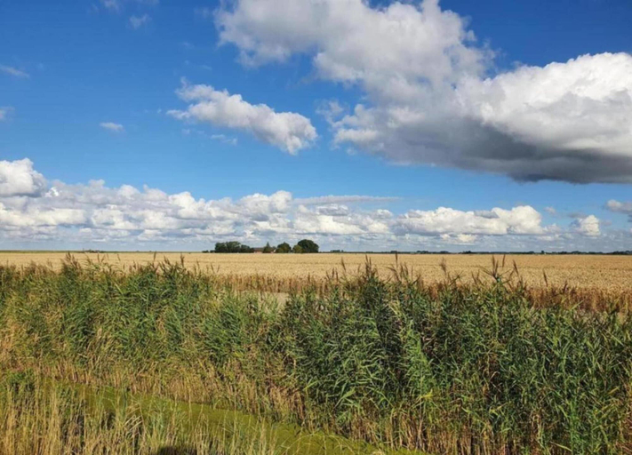 View from property 4, Bungalow in Zuytland Buiten by the Water, Bernisse
