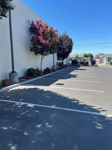 Others 4, Western Motel, Monterey