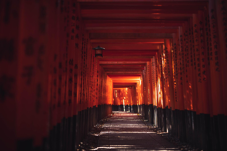 2, Kyoto Amazing The Wizarad of Oz, Kyoto