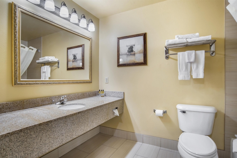 Bathroom 4, Best Western Plus Bessemer Hotel & Suites, Jefferson