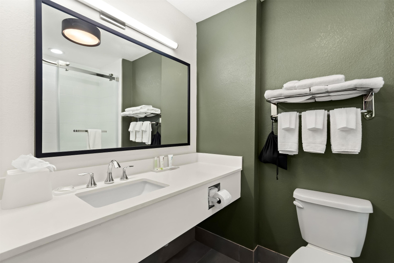 Bathroom 5, Spark by Hilton Panama City Beach, Bay
