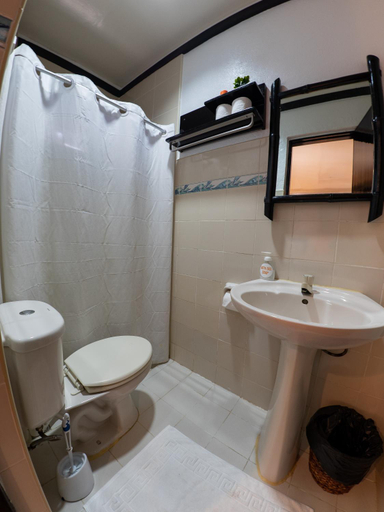 Bathroom 4, Hippocampus, Daanbantayan
