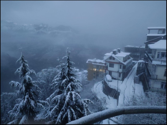 Others 3, uphill top family suites stags not allowed , Shimla