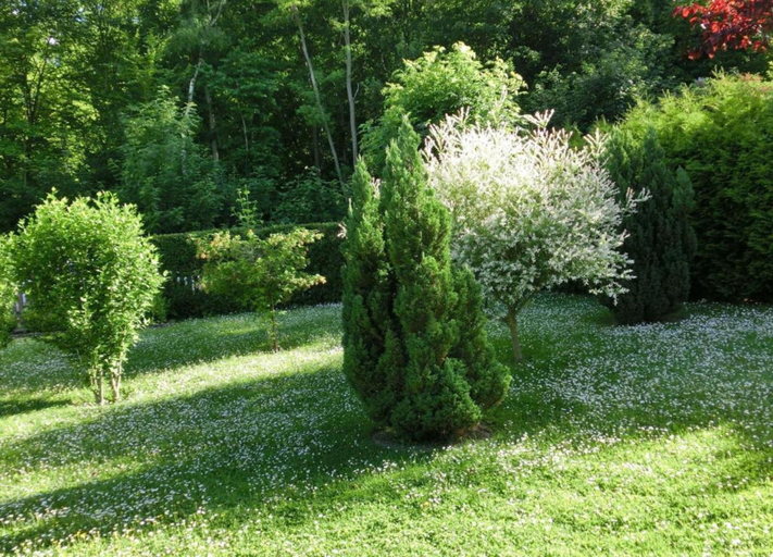 View from property 5, Haustierfreundlicher Kurzurlaub, Harz
