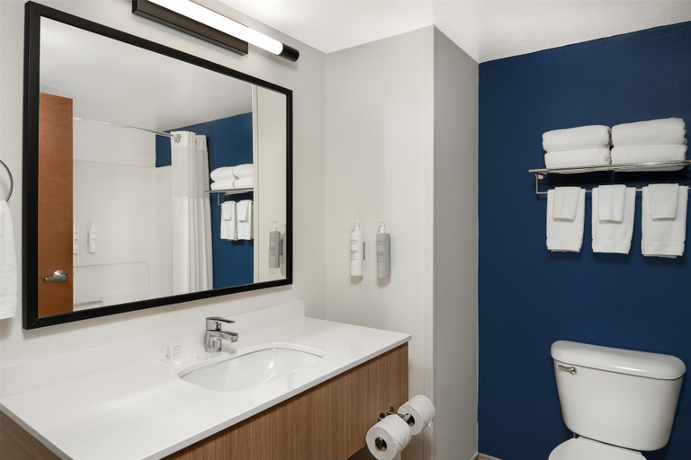 Bathroom 4, Spark by Hilton Smithfield I-95, Johnston