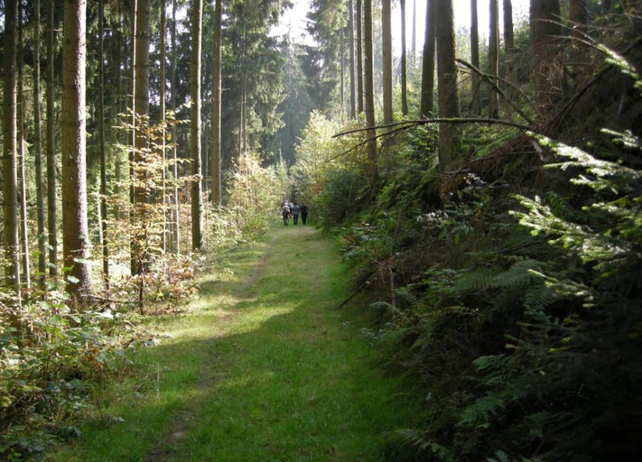 View from property 3, Nature Nest in Waxweiler, Eifelkreis Bitburg-Prüm