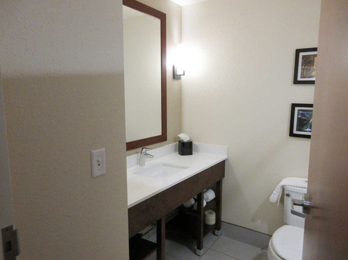 Bathroom 4, Comfort Suites Greenville South, Anderson