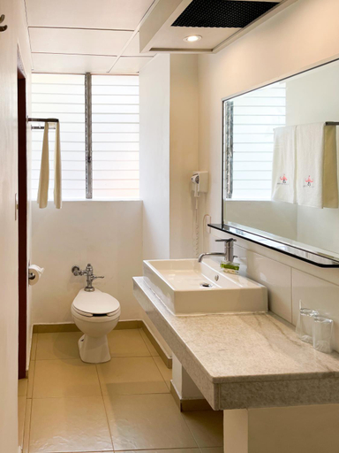 Bathroom 2, Hotel Palace Mexico, Mexico City