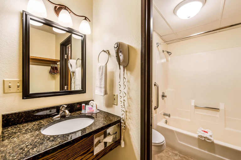 Bathroom 4, Econo Lodge Mayo Clinic Area, Olmsted