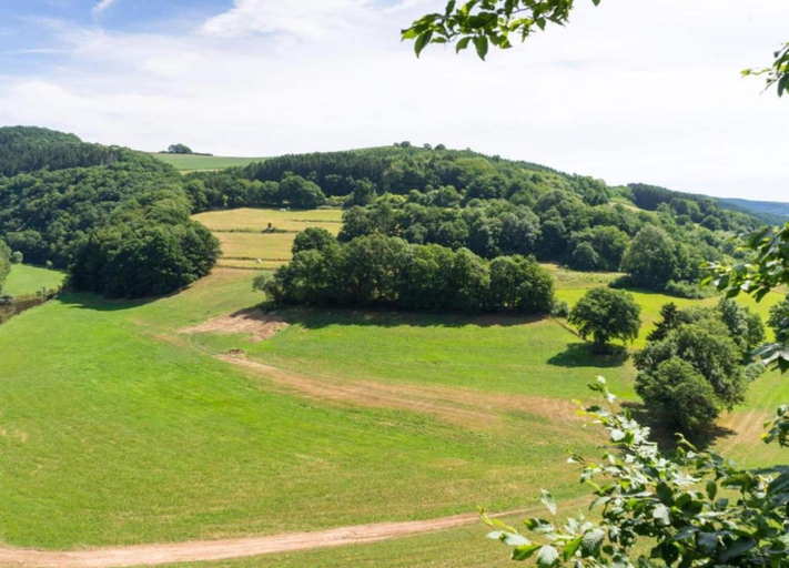 View from property 5, Nature Nest in Waxweiler, Eifelkreis Bitburg-Prüm