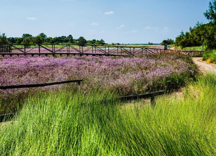 View from property 4, Escape Steps From the Sand, Rovigo