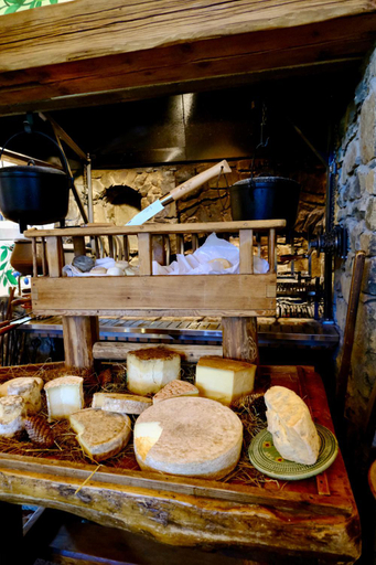 Food & Drinks